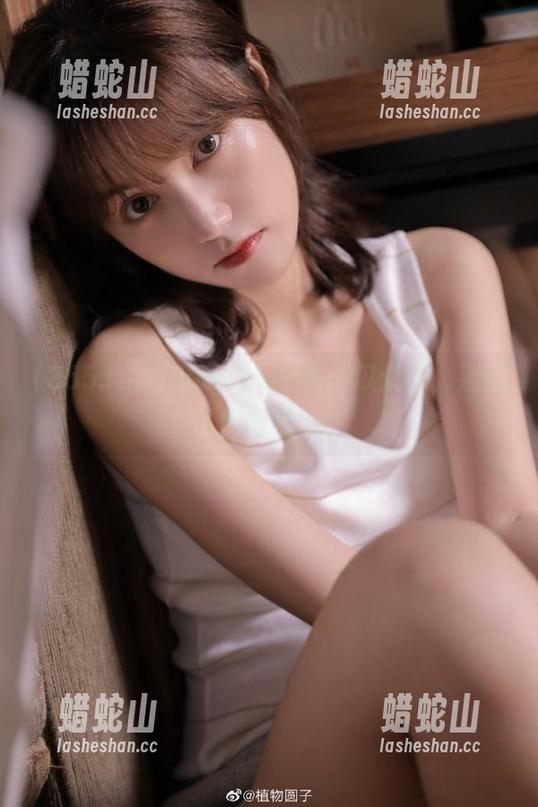 355.fun更新：瓜众多，别忘了体力跟上！