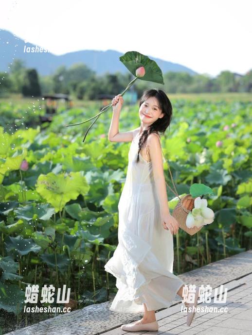 51吃瓜网 暗藏玄机的首页,51吃瓜网入口让人软肋环绕