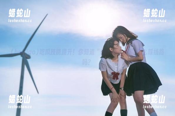 吃瓜技能提升！你知道“heiliao.su”怎么踩线路吗？