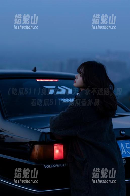 免费在线聊天，永不迷路，跟着吃瓜511一路瓜香扑鼻