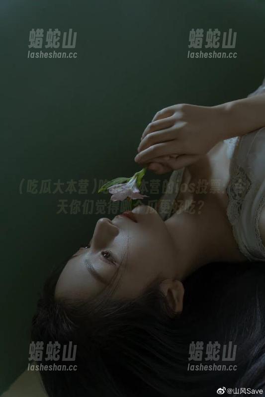 吃瓜大本营 吃瓜大本营的ios投票:今天你们觉得哪个瓜更好吃?