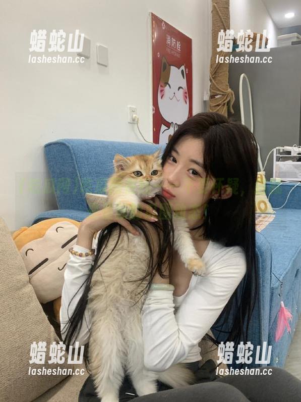 吃瓜网在线——不要怀疑，这就是最新的瓜圈动态！